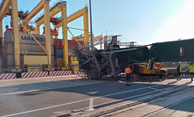 MSC's 23,756 TEU Giant Took Down Crane In Valencia, Spain MSC MIA