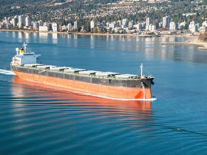 8 Major Types of Cargo Transported Through the Shipping Industry
