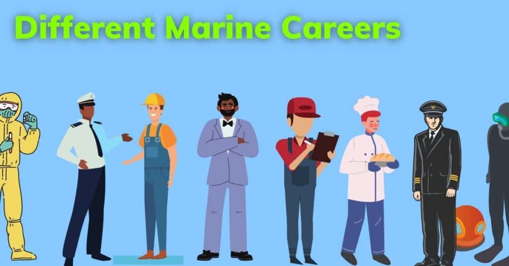 A List of Unique and Interesting Marine Careers