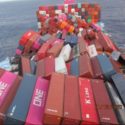 One Apus dislodged containers