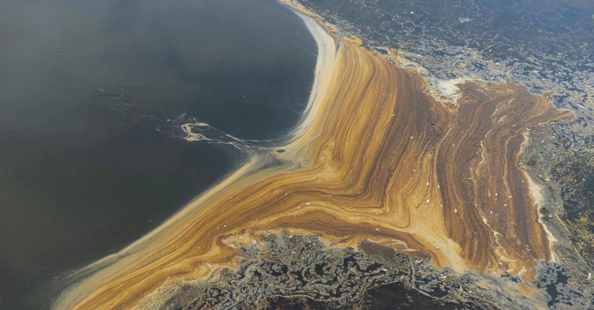 water pollution oil spills effects