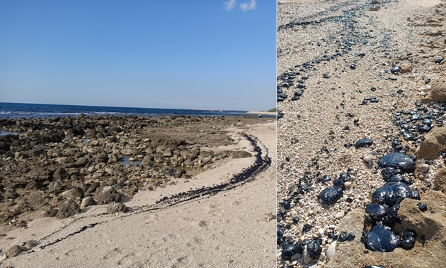 tar-deposits-in-israel-beach
