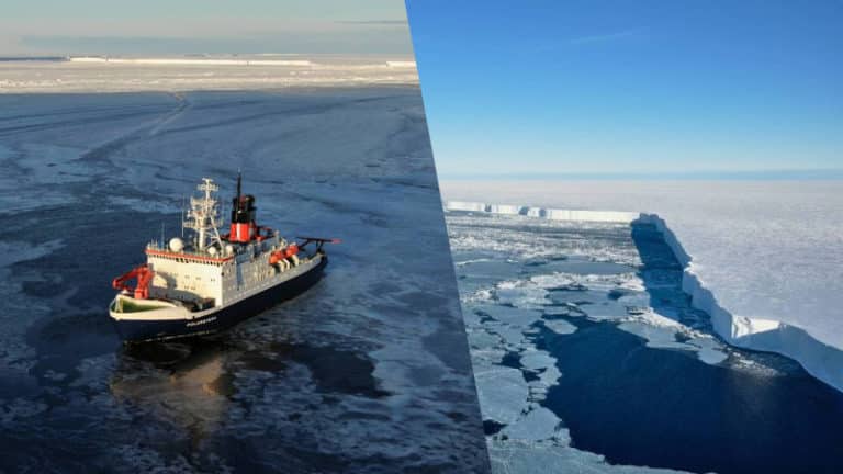 Watch: Researchers Study Life At Sea Floor Beneath Giant Abandoned Iceberg Twice The Size of Berlin