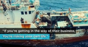 illegal fishing - documentary - seaspiracy -
