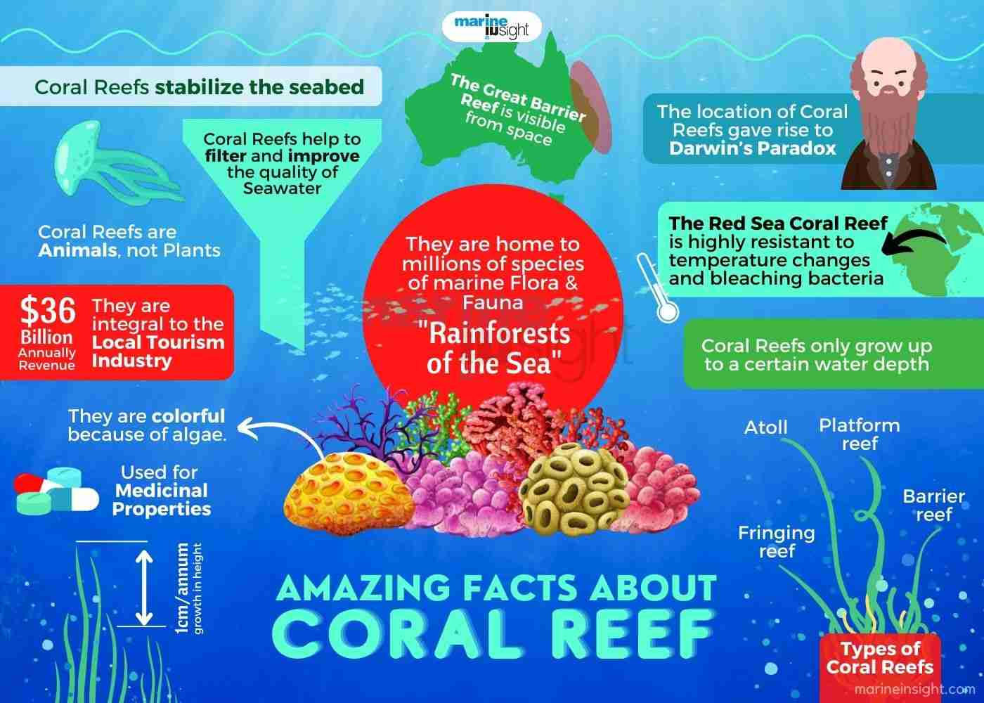 Facts About Coral Reefs Infographic