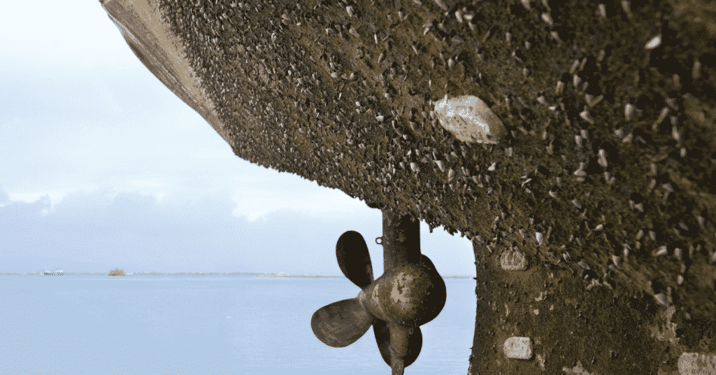 4 Types of Anti-fouling Systems Used on Board Ships to Prevent Marine Growth
