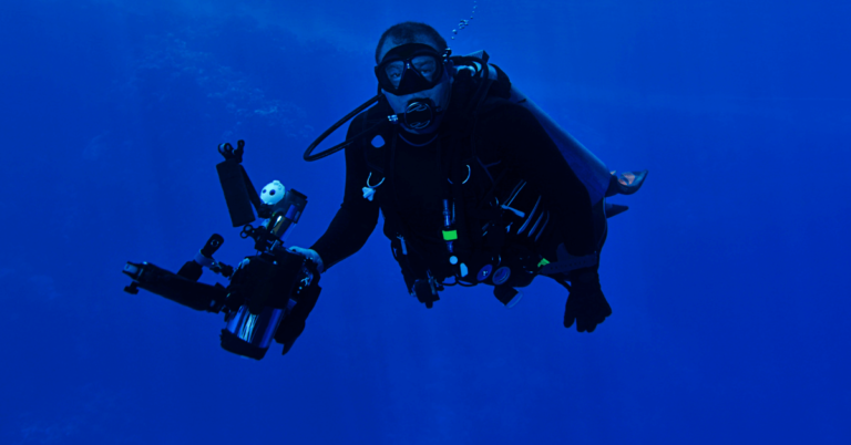 How to Get a Career in Underwater Photography?