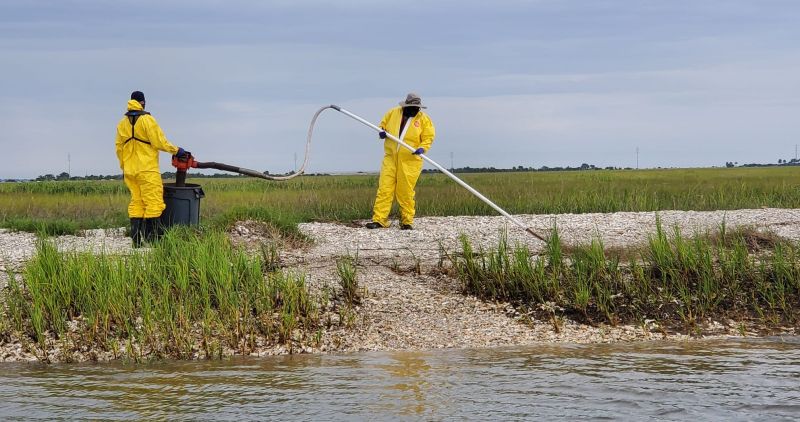 A shoreline clean-up team sprays a sphagnum moss coating on oiled marsh grass near the Frederica River