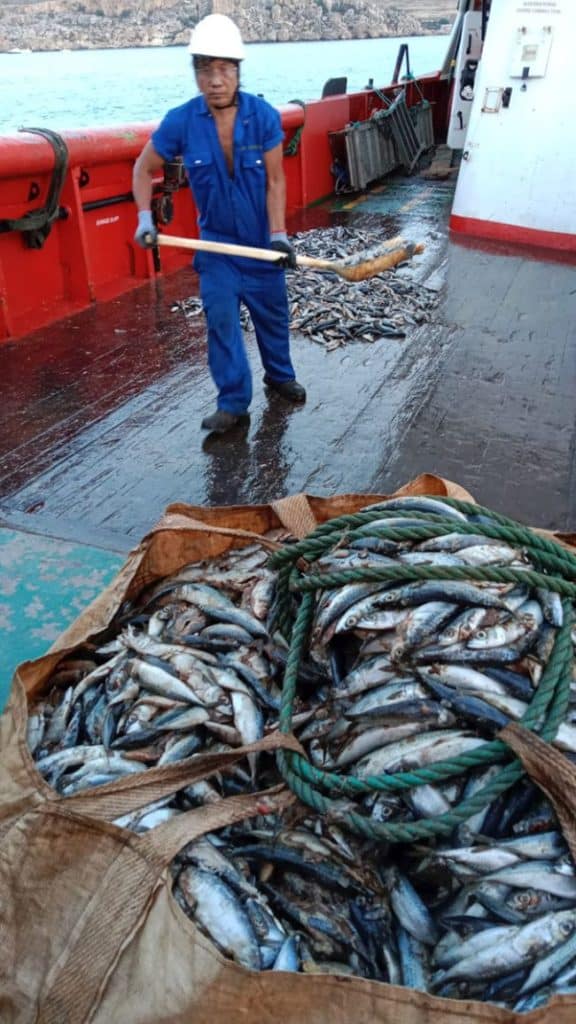 Seafarers working aboard ships feeding the tuna farms of Malta say Able Maritime let them down