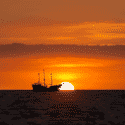 sail boat sunset