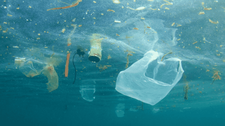 Mediterranean Becomes One Of The Worst Plastic-Polluted Seas On Earth: WWF