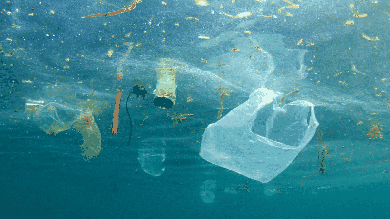 plastic marine pollution