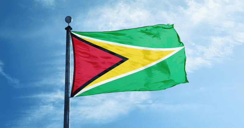 Guyana Flag By Ships