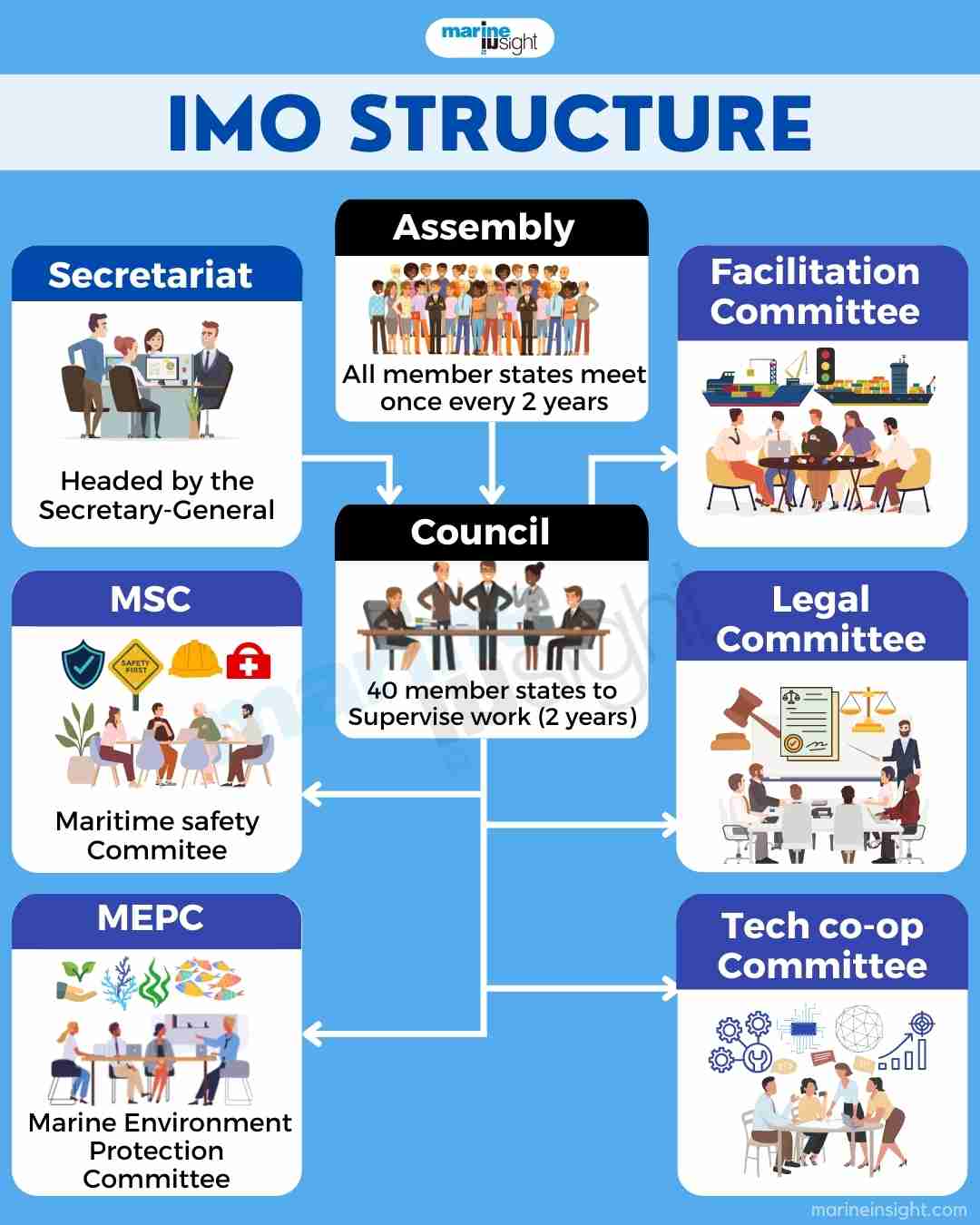 IMO Structure Infographic