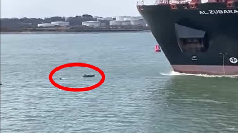 Watch: Man Swims A Few Meters Away From Getting Crushed By Huge Container Ship