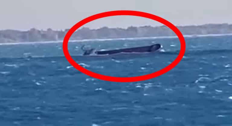 Cargo Vessel Sinks; Crew Members Rescued Off Alexandria Port [Video]