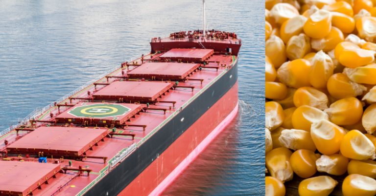 Ukrainian Corn Loaded For The First Time Since The Russian Invasion