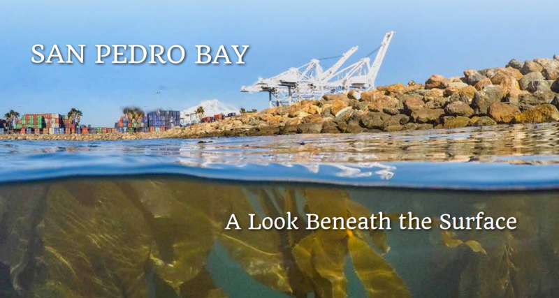 san pedro bay - a look beneath the surface