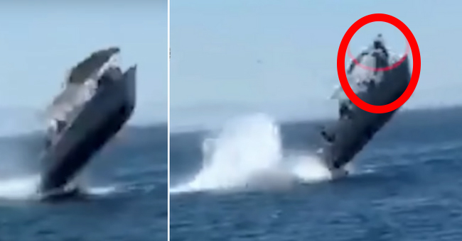 Watch: Tourists Fly Into Air After Boat Hits Giant Humpback Whale