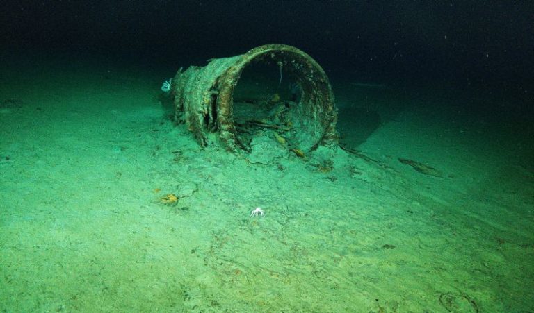 Watch: Ocean Gateway's 2022 Titanic Expedition Document Wreck Of ...