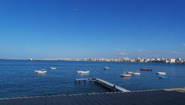 Port of Alexandria
