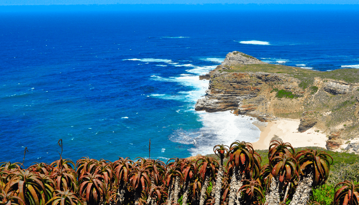 Cape of good hope climate