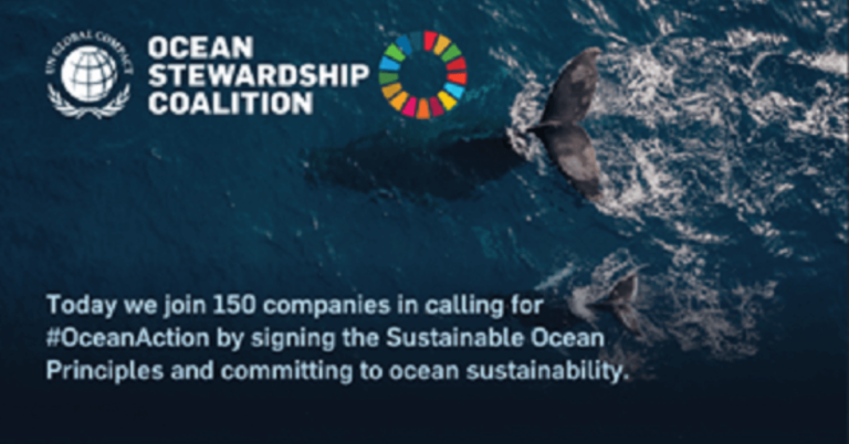 NYK Becomes Signatory To UN’s Sustainable Ocean Principles