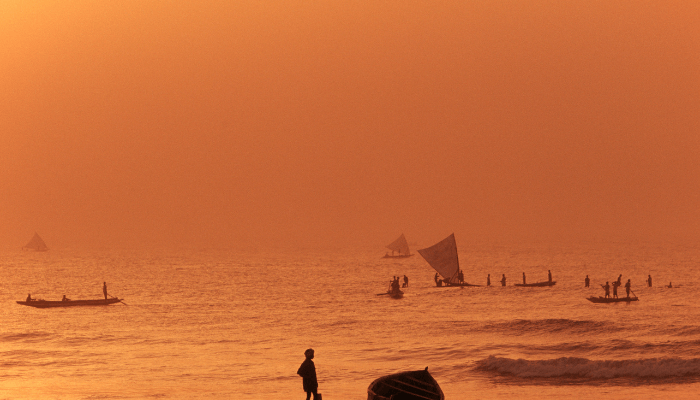 Fisheries Sector In Bay Of Bengal