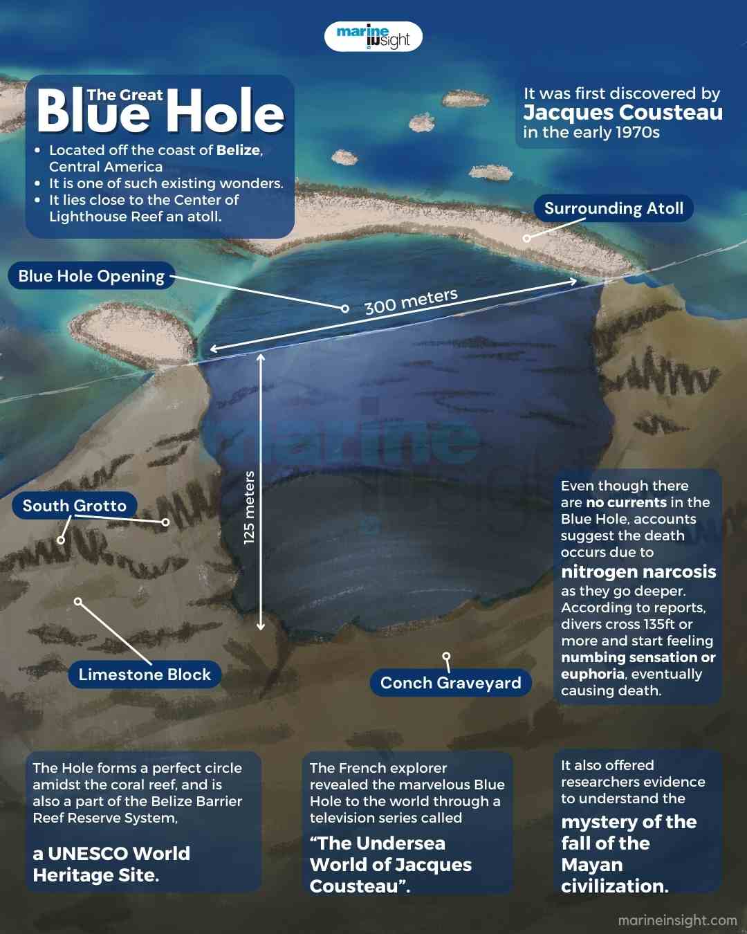 The Great Blue Hole Infographic