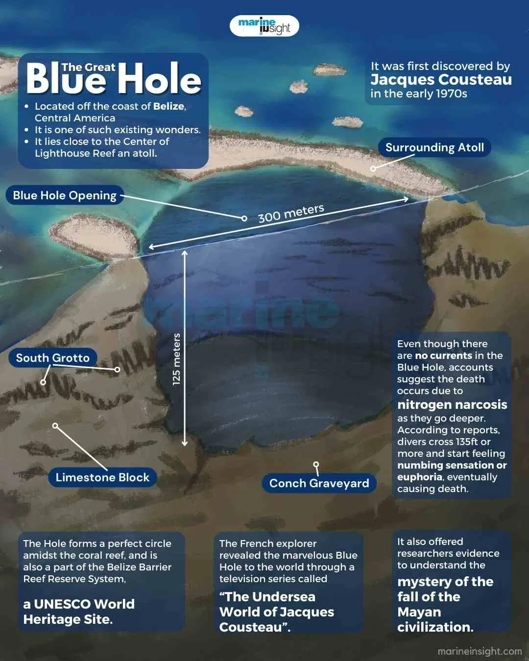 The Great Blue Hole Infographic