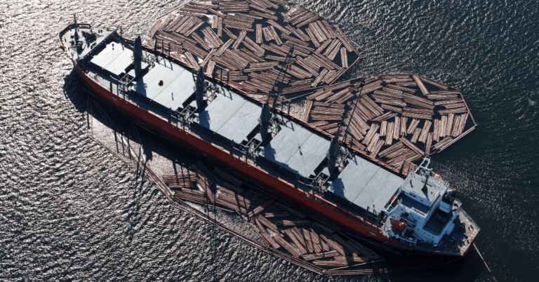 Video: Deck Cargo Lost From Ship, Coast Covered With Tons Of Wood