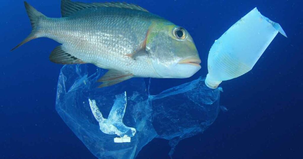 IAEA Event Gathers Experts Working Together To Save Marine Environments From Plastic Pollution