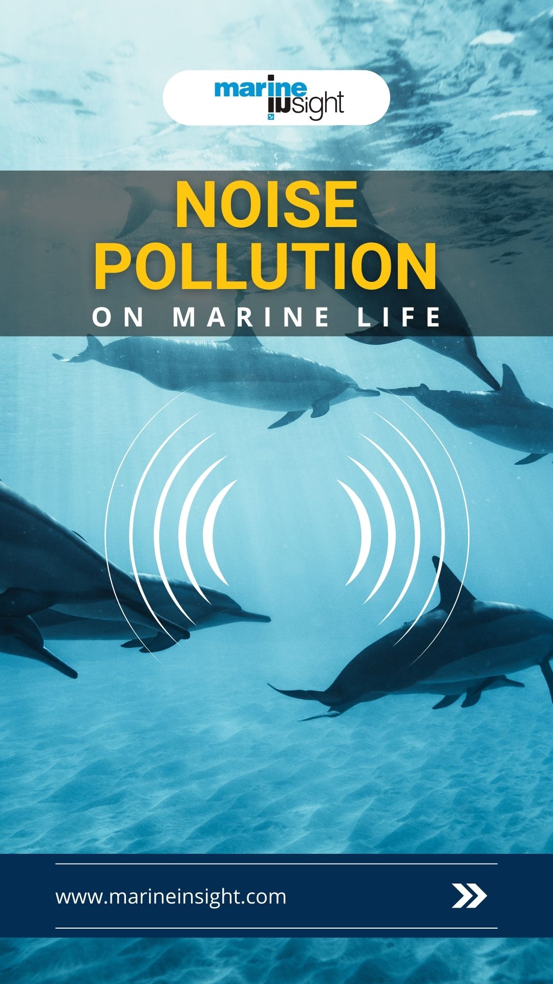 Effects of Noise on Marine Life