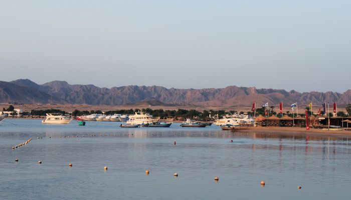 Port of Safaga