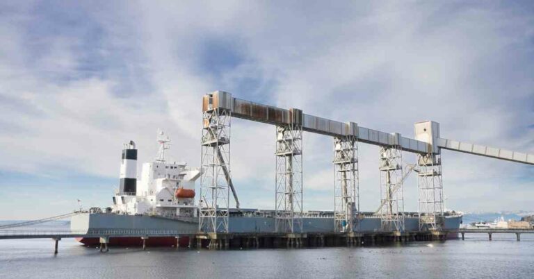 Ukraine Says Ship With Wheat For Ethiopia Reaches Destination As Part Of Anti-Famine Push
