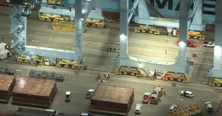 Watch: Man Falls To His Death On A Vessel At Los Angeles Port