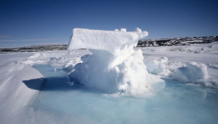 icebergs in baffin bay