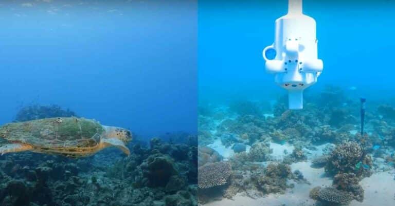 Australia Gets Its Largest Subsea Robotics Facility