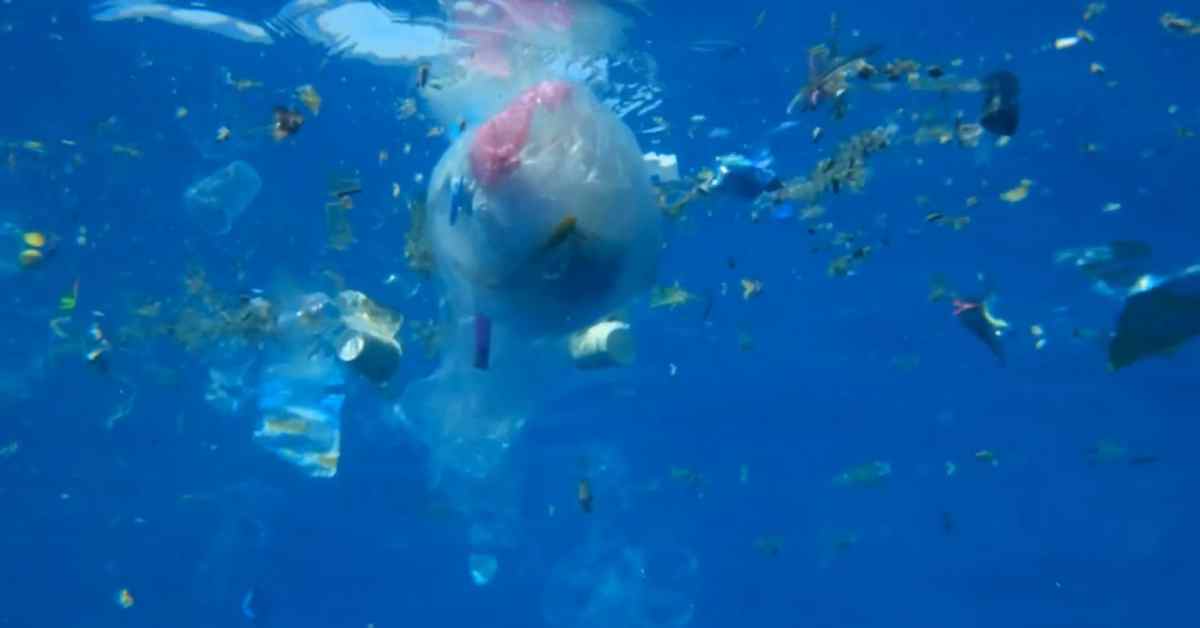 There Will Probably be More Plastic in the Ocean than Fish By 2050
