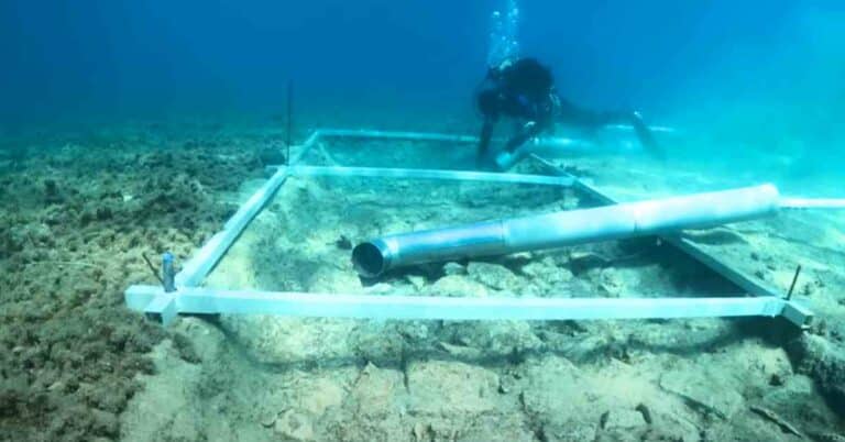 Watch: 7000-Year-Old Road Found At The Bottom Of The Mediterranean Sea Fascinates Explorers