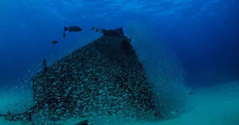 3000-Year-Old Rare Hand-Sewn Shipwreck To Be Retrieved From The Sea