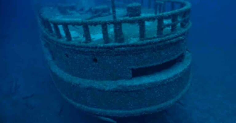 Wreckage Of Ship That Sank In Lake Huron 130 Years Ago Found With Alien Species