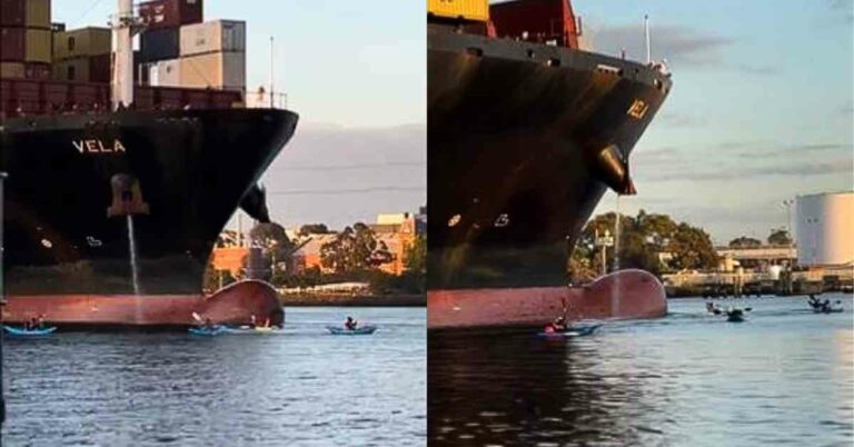 Watch: Pro-Palestinian Protesters Target Zim Cargo Ship On Its Way To Melbourne
