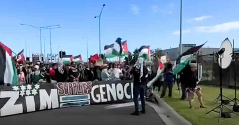 Pro-Palestinian Protests At Melbourne Port Target Israeli Cargo Ship