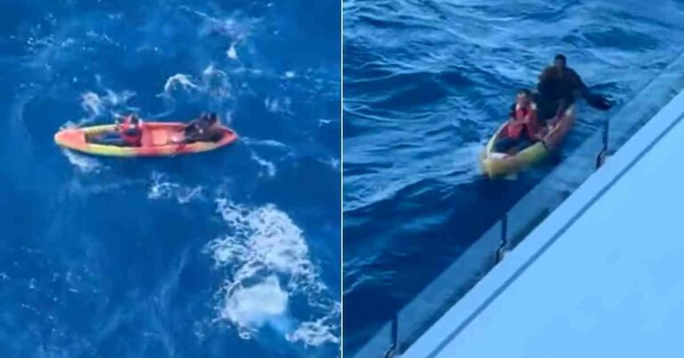 Watch: Cruise Ship Rescues Kayakers Stranded In the Gulf Of Mexico