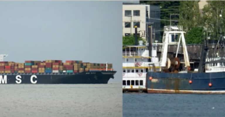 Fishing Vessel Slams Into Container Ship As It was Fixing Gyrocompass While Underway