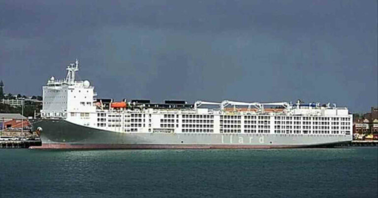 Livestock Ship Carrying 19,000 Cattle Causes Foul Smell In Cape Town