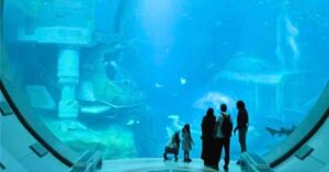 Abu Dhabi’s SeaWorld Becomes The World’s Largest Indoor Marine-Life Theme Park