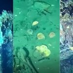 Columbia Starts Exploration Of "Holy Grail of Shipwrecks" In The Caribbean Sea