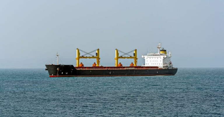 Bulk Carrier Engine Failure Halts Maritime Traffic In Turkey’s Bosphorus Strait